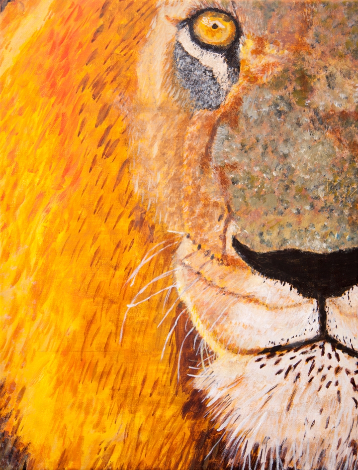 Banyule Open Studios