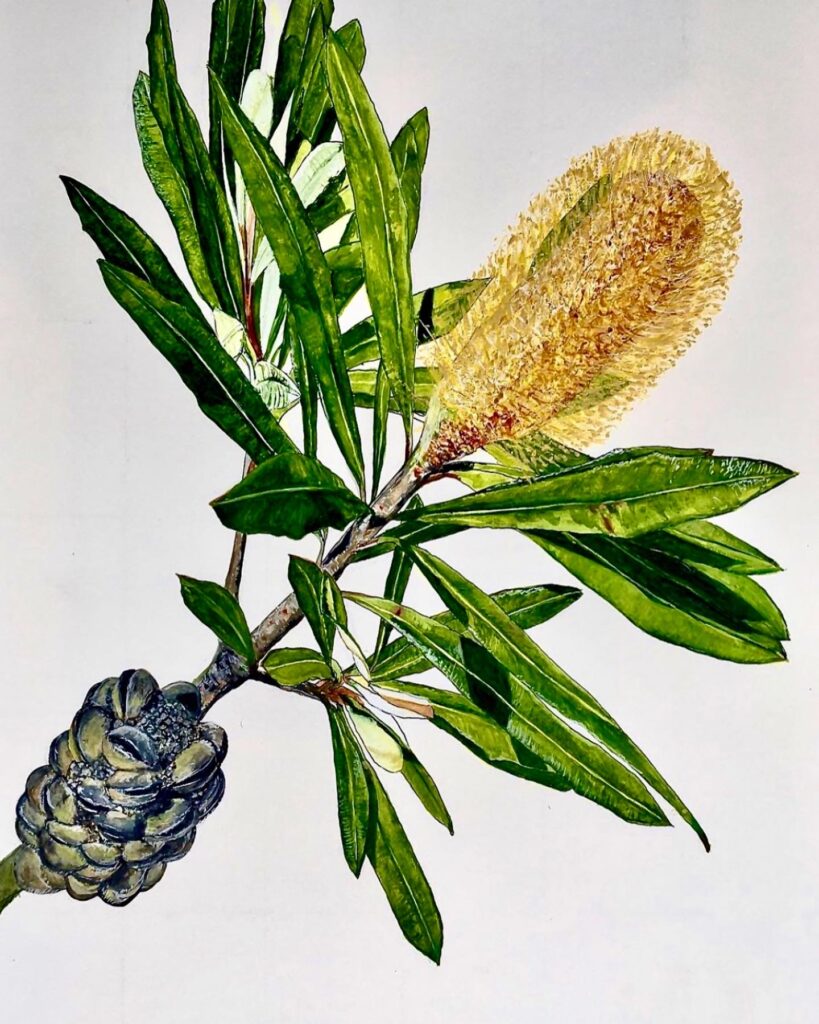 112E347B-870A-45B2-B8E5-DE6AB70A4934 Banyule Open Studios