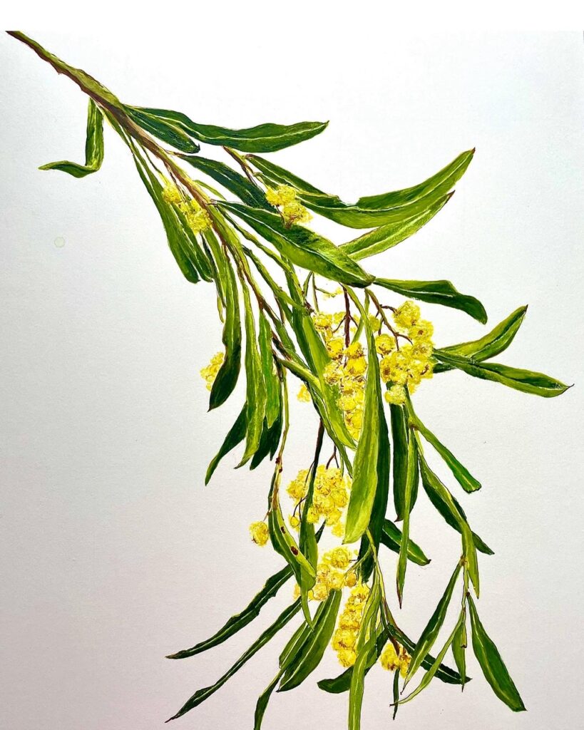 66EFCE16-B03D-4DDA-BE67-126BF2474E0A Banyule Open Studios