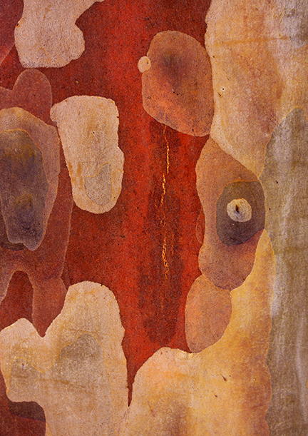 Banyule Open Studios
