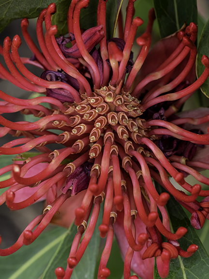 Banyule Open Studios