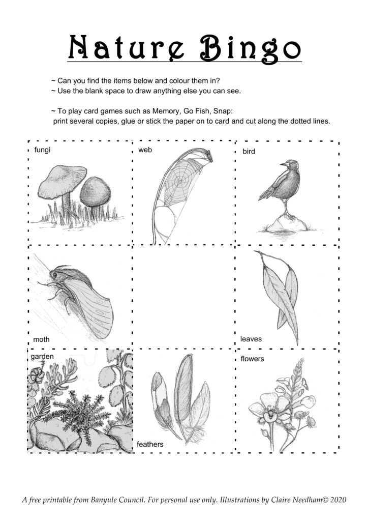 Needham_Claire_Nature Bingo -Suburban_2020_A4_drawing_downloadable printout Banyule Open Studios