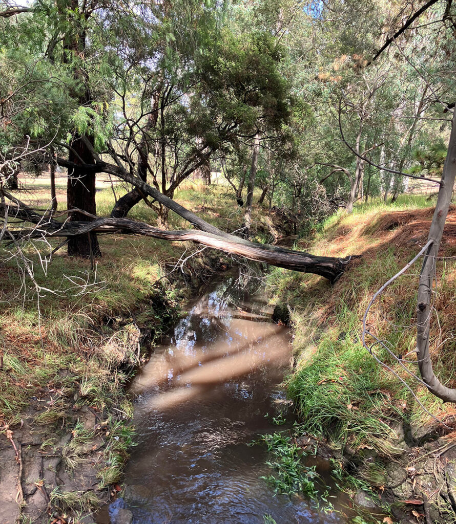 Randy5 Banyule Open Studios