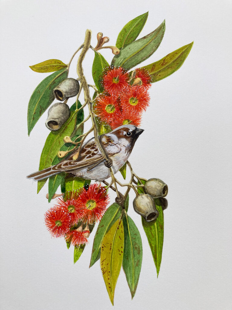 Randy6 Banyule Open Studios