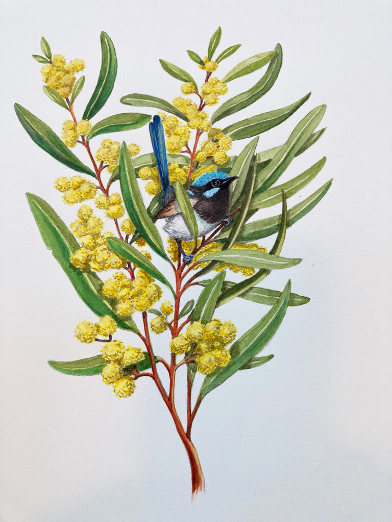 Randy7 Banyule Open Studios