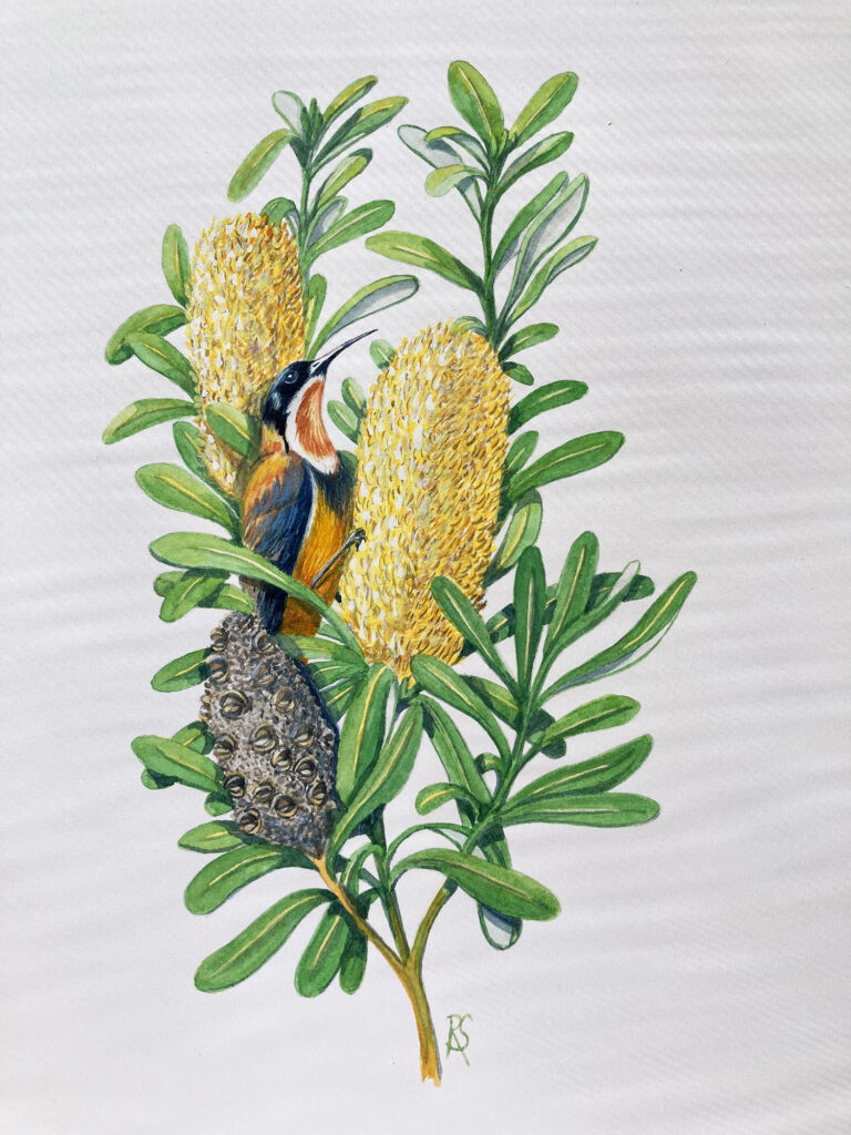 Randy8 Banyule Open Studios