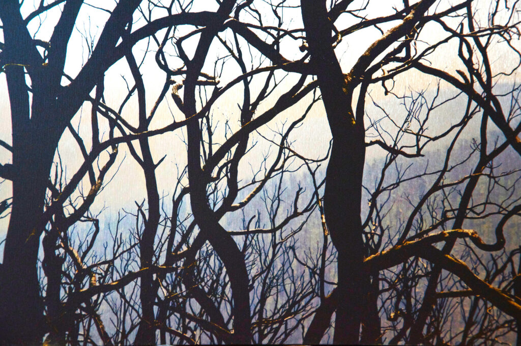 Susan1 Banyule Open Studios