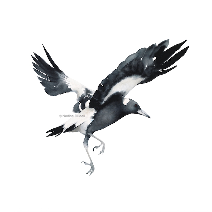 The Arrival Nadine Dudek Banyule Open Studios