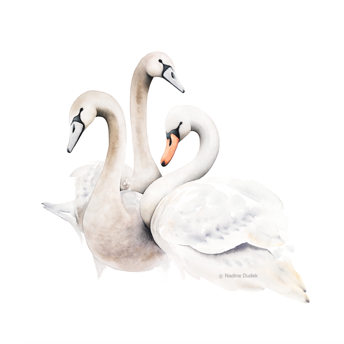 The Teenagers Nadine Dudek Banyule Open Studios