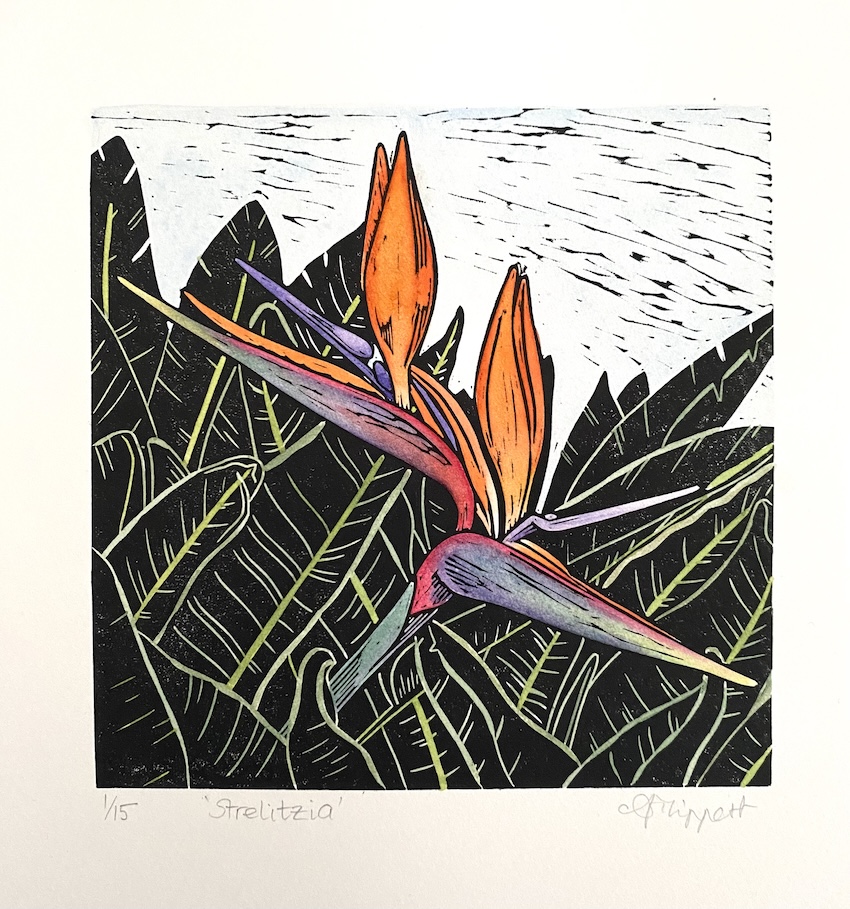 Banyule Open Studios