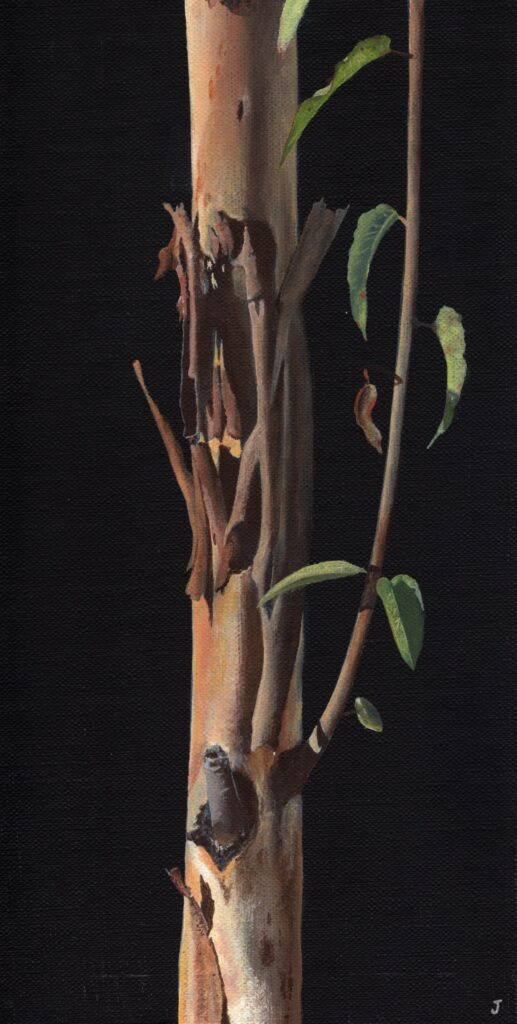 Banyule Open Studios