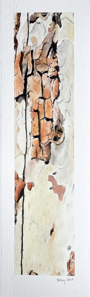 Banyule Open Studios