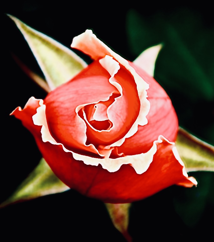 Screenshot Banyule Open Studios