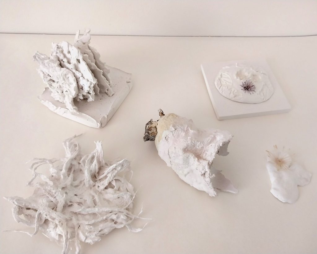 Argus_Karryn_Found Lingering_2024_variable_plaster_found objects Banyule Open Studios