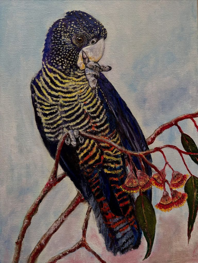 Banyule Open Studios