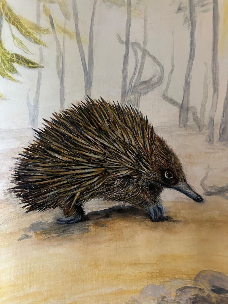 Banyule Open Studios