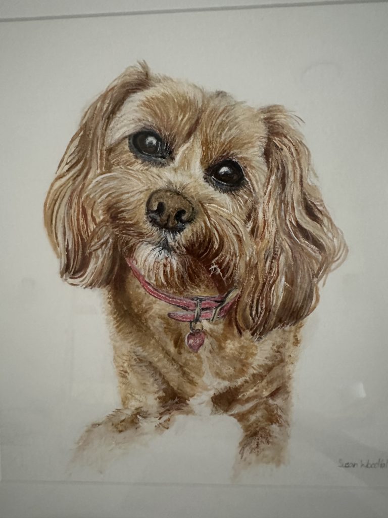 Banyule Open Studios