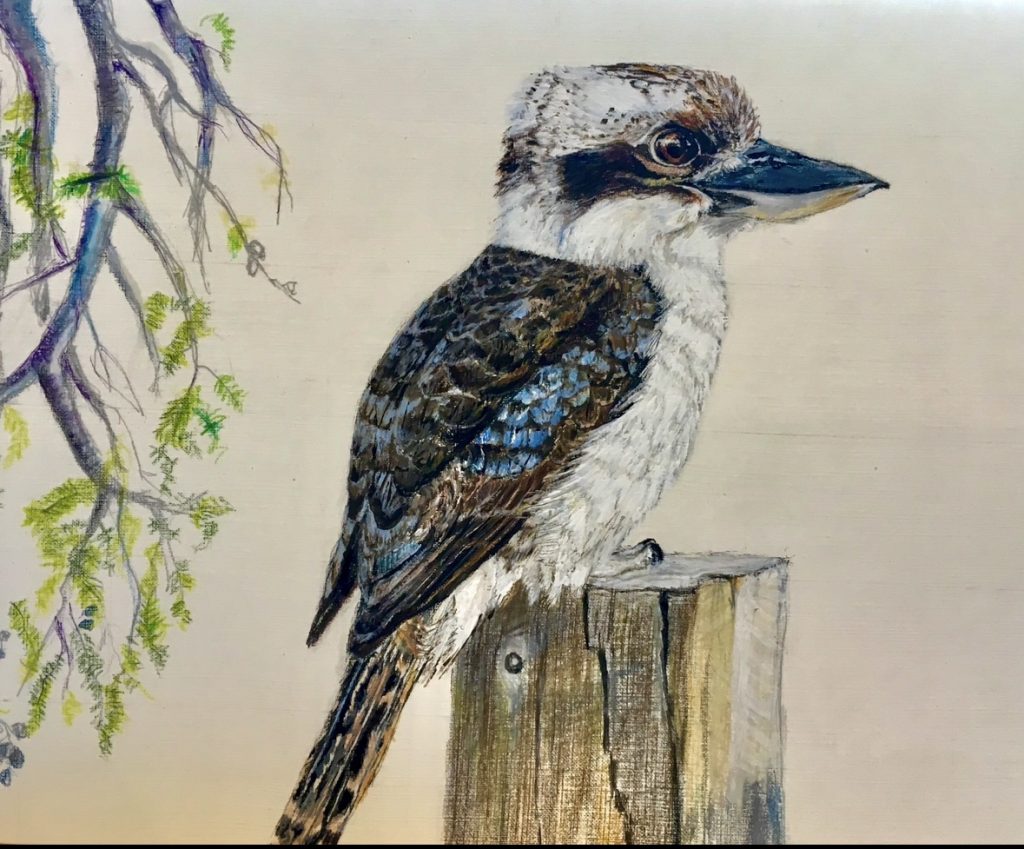 Banyule Open Studios