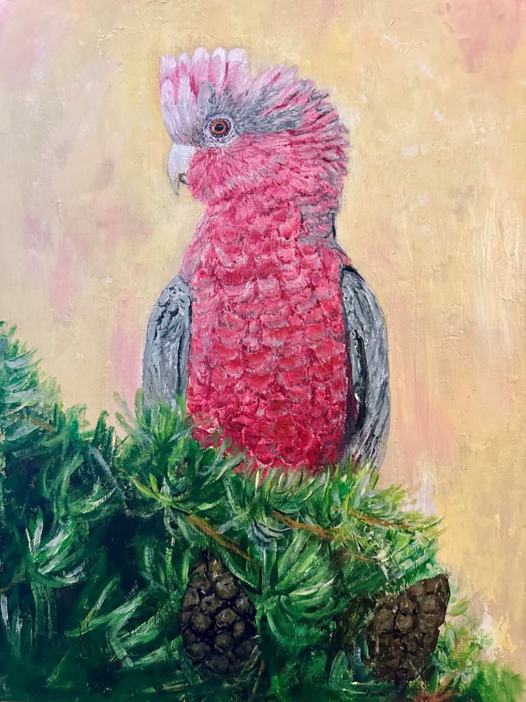 Banyule Open Studios