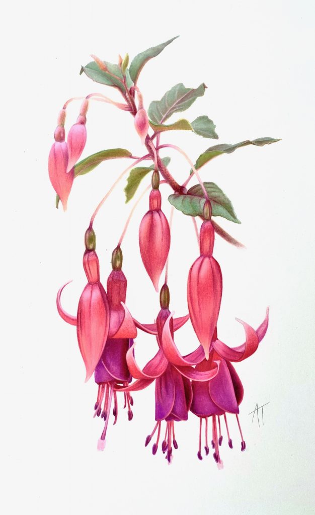 Banyule Open Studios