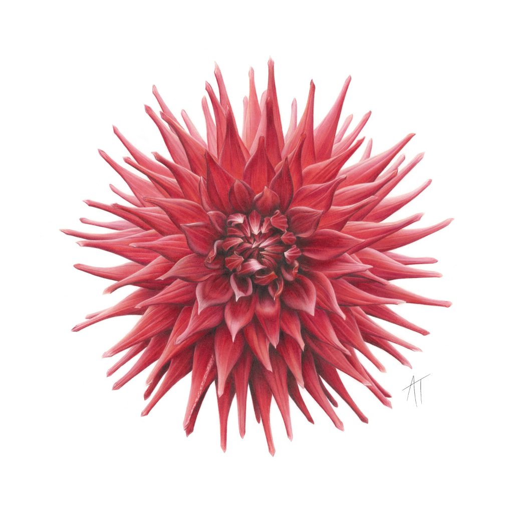 Banyule Open Studios