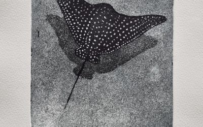 Pam Jackson