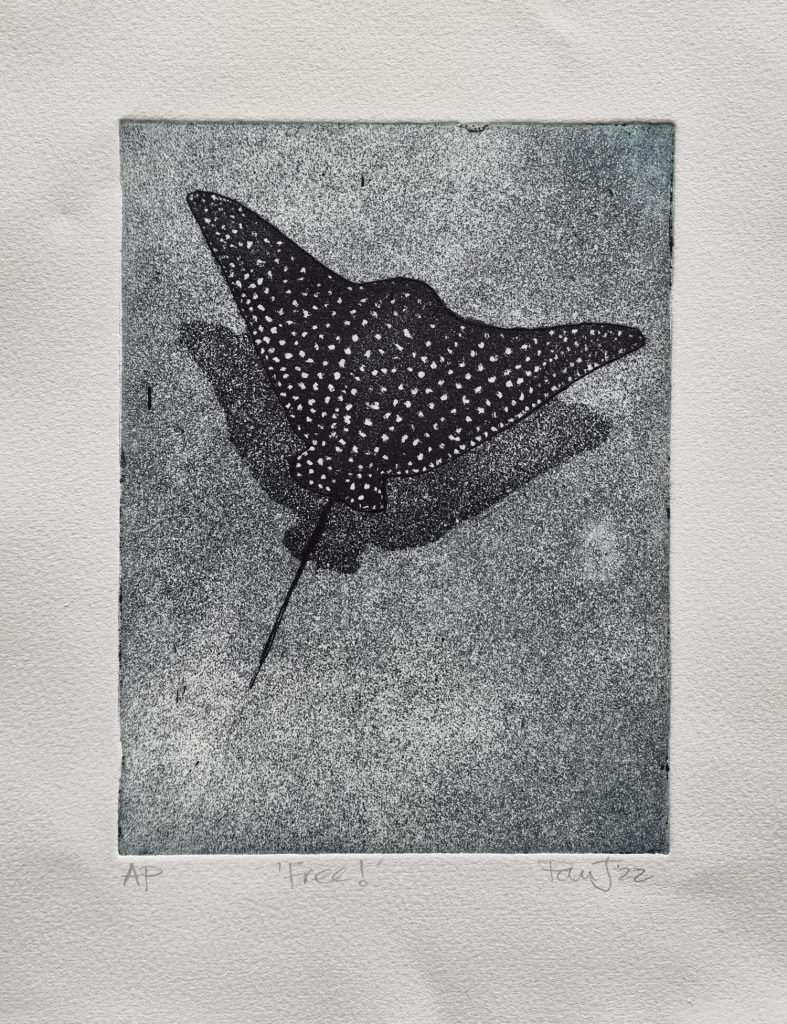 Banyule Open Studios