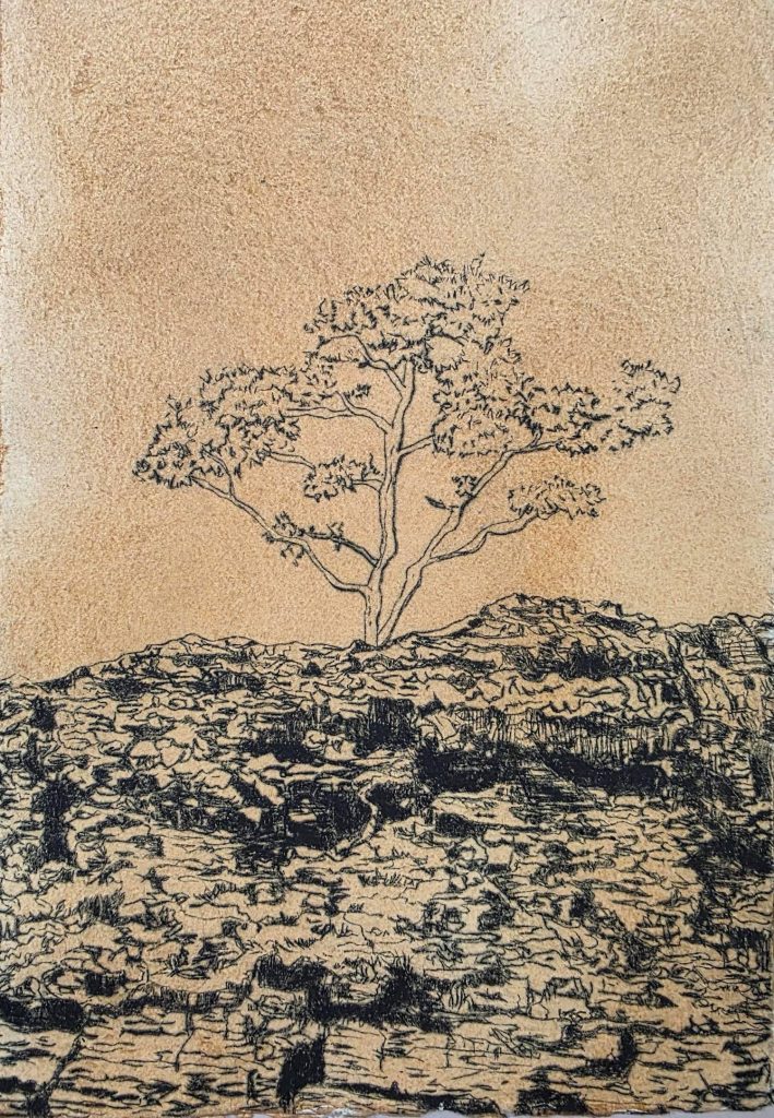 Banyule Open Studios