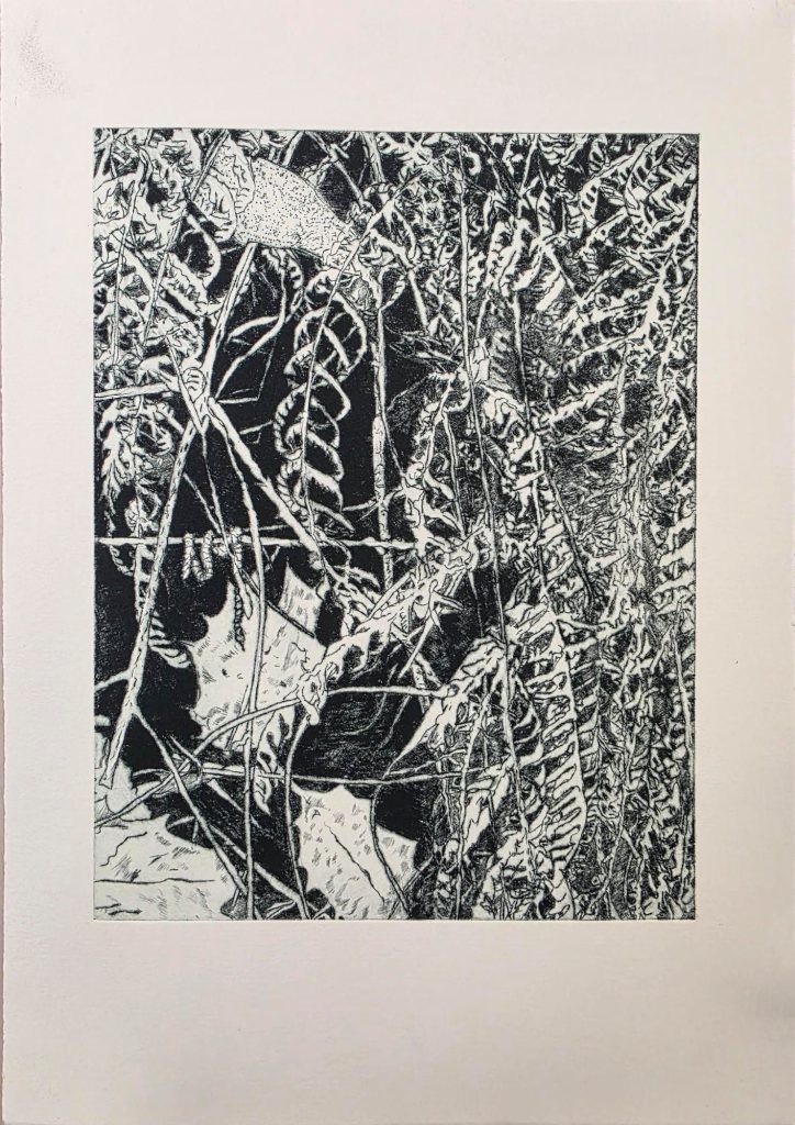 Banyule Open Studios